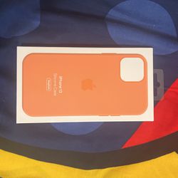 I Phone 13 Orange Apple Silicone Case