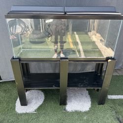 fish tank
