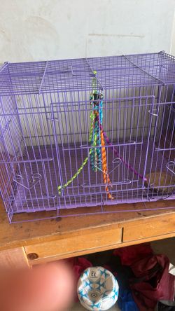 Bird Cage