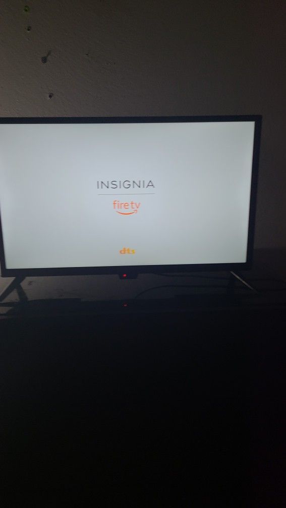 24 In. Insignia FIRE T.V.
