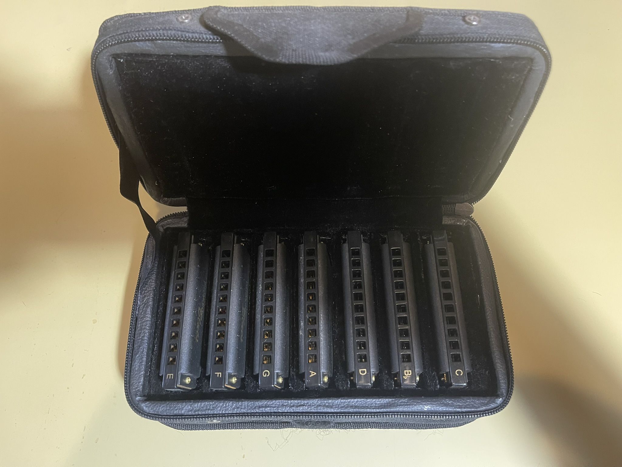 Hohner Harmonica Set With All Keys