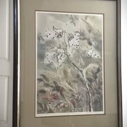 VINTAGE (1976) N Taylor Stonington Signed Art Print "Milkweed Pods"