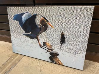 “Sticking the Landing” Photo Print on Canvas by Larey McDaniel