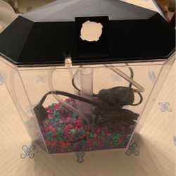 Small Fish Tank