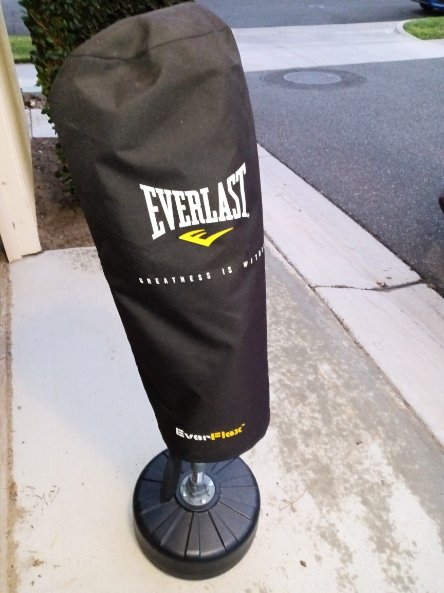 Everlast Everflex Punching and Kicking Bag for Sale in Ontario, CA