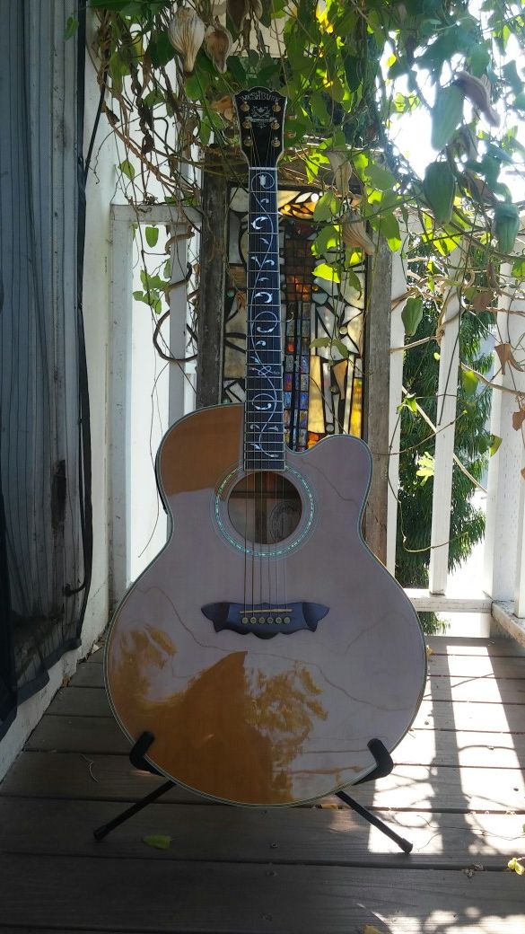 washburn cumberland "tree of life" acoustic guitar
