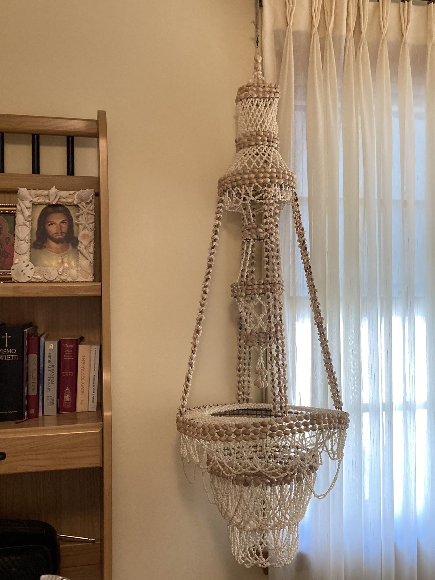 Seashells Plant Holder