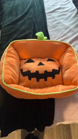Cat beds