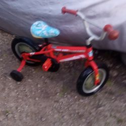 Paw Patrol 12 Inch Kids Bike With Training Wheels And Coaster Brake 