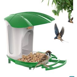 Birds Feeder