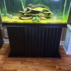 40 Gallon Aquarium