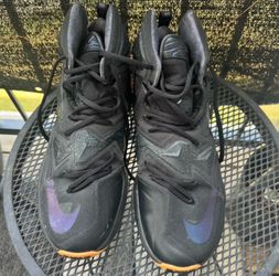 Nike LeBron 13 “Black Lion” Size 11.5 Black Gum Basketball Shoes