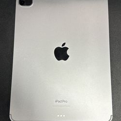 iPad Pro 11 Inch (4 gen)