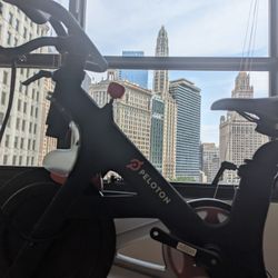 Peloton PL01 Stationary Bike 