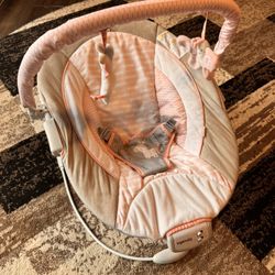 Baby Bouncer