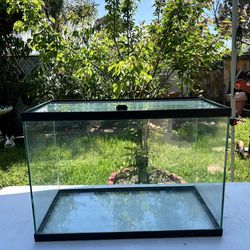 20 gallon high fish tank / fish tank with lid