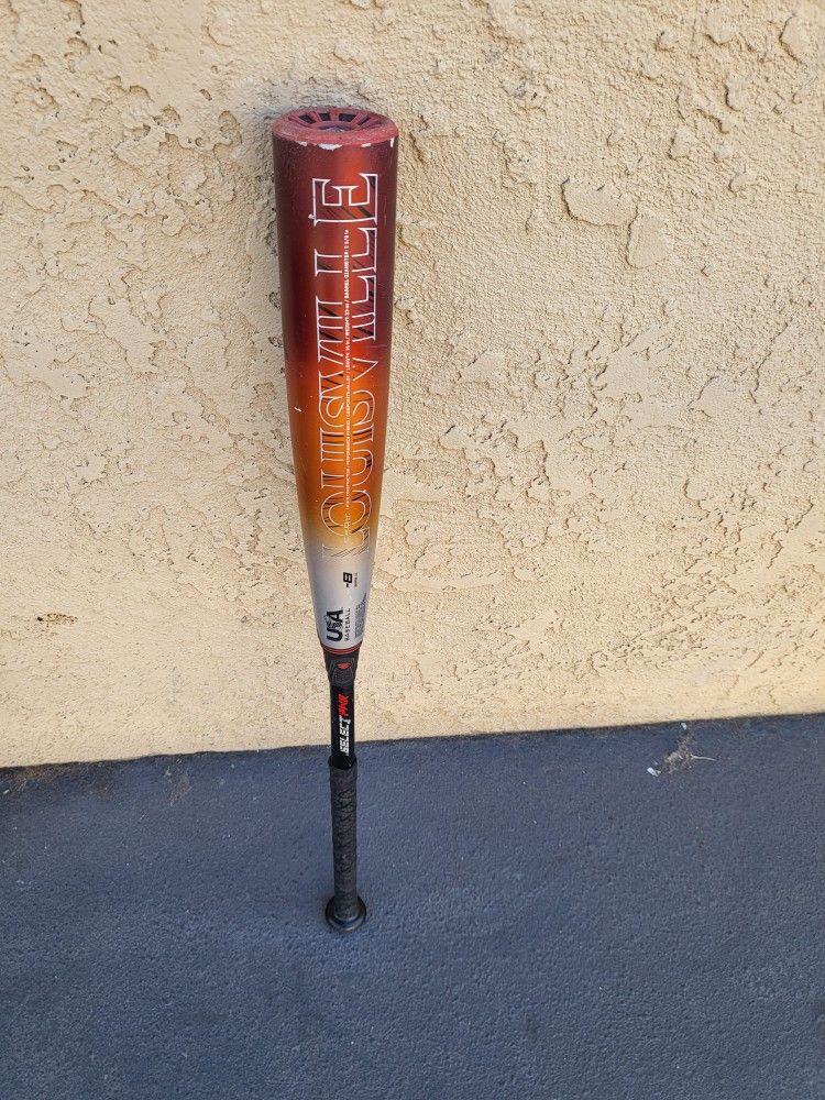 Young Baseball Bat "31"