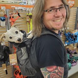 Doggy Backpack  (Small)