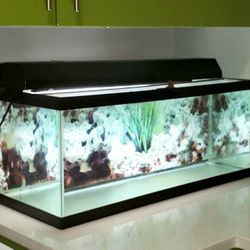 20 Gallon Fish Tank (Long).  - SEE Ad For Condition 
