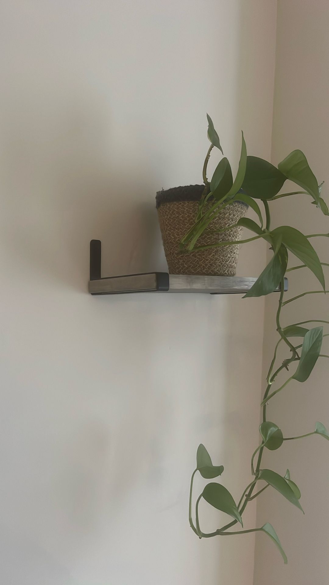Floating Shelves.