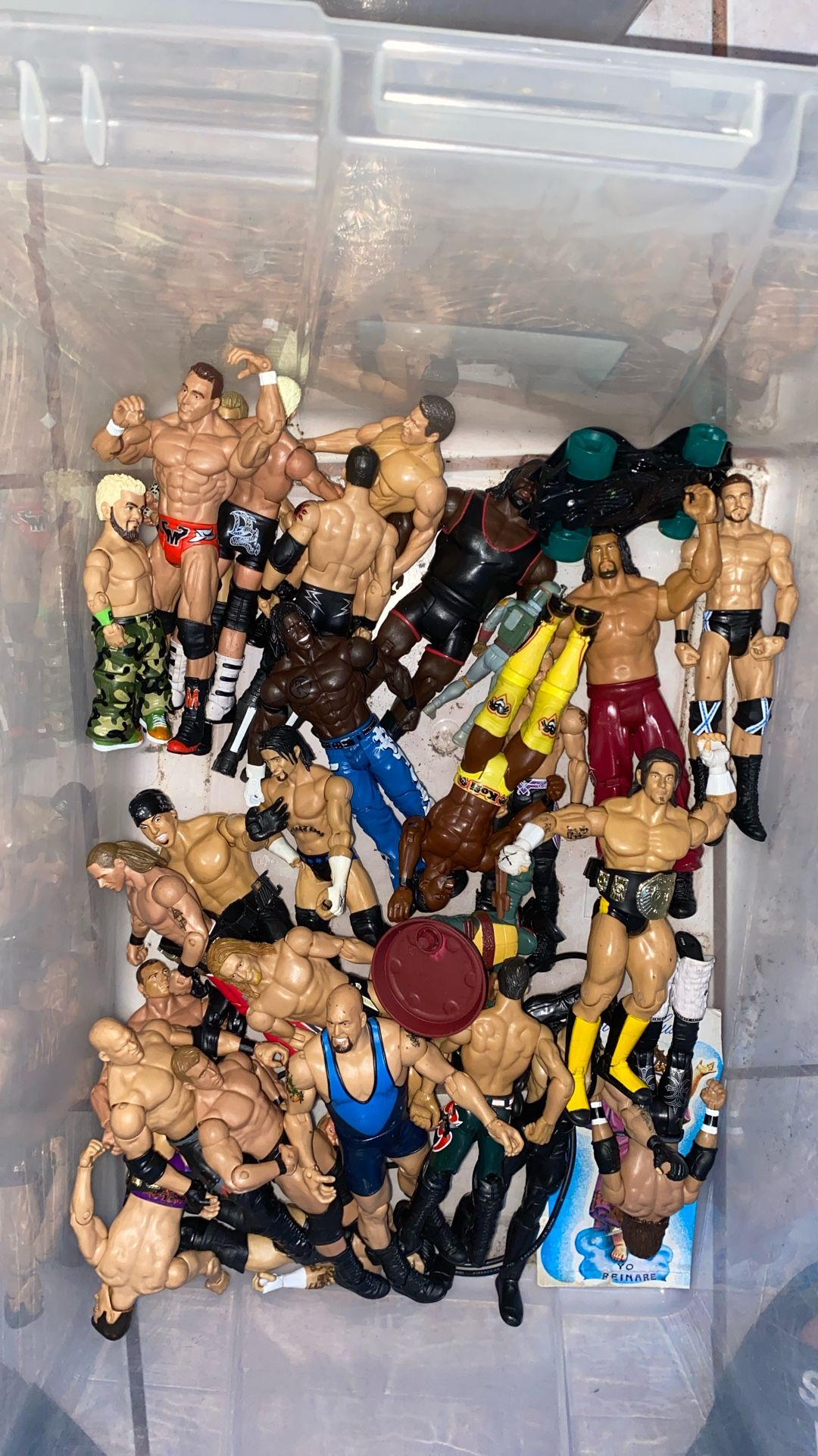box of wwe wrestlers