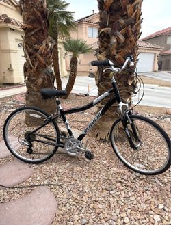 Specialized Expedition Comfort / Hybrid Bike