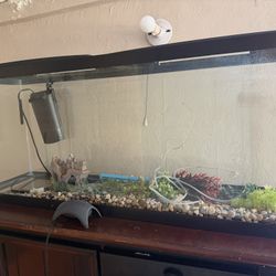 75 Gallon Fish Thank 
