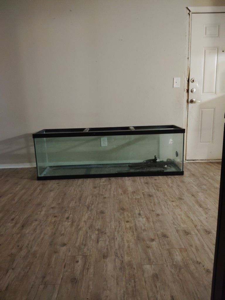 Reptile Tank