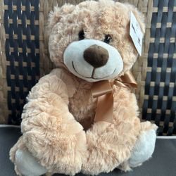 Teddy Bear 🧸❤️