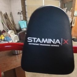 Stamina Pull Up And Dip Stand