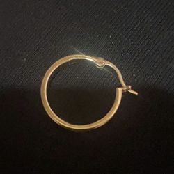 19mm Gold Plated Earrings 