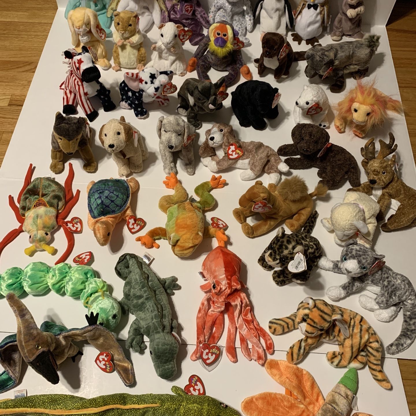 LOT of 40 Collectable TY Beanie Baby 2000
