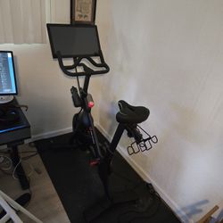 Peloton & Mat (Barely Used)