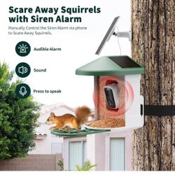 Bird Feeder
