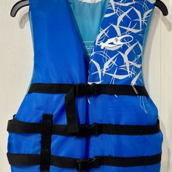 $10/$15 Each (4 Life Vests) 2 Blue $10 Each and 2 Black & Yellow $15 Each SEE DESCRIPTION