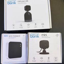 Blink Camera System