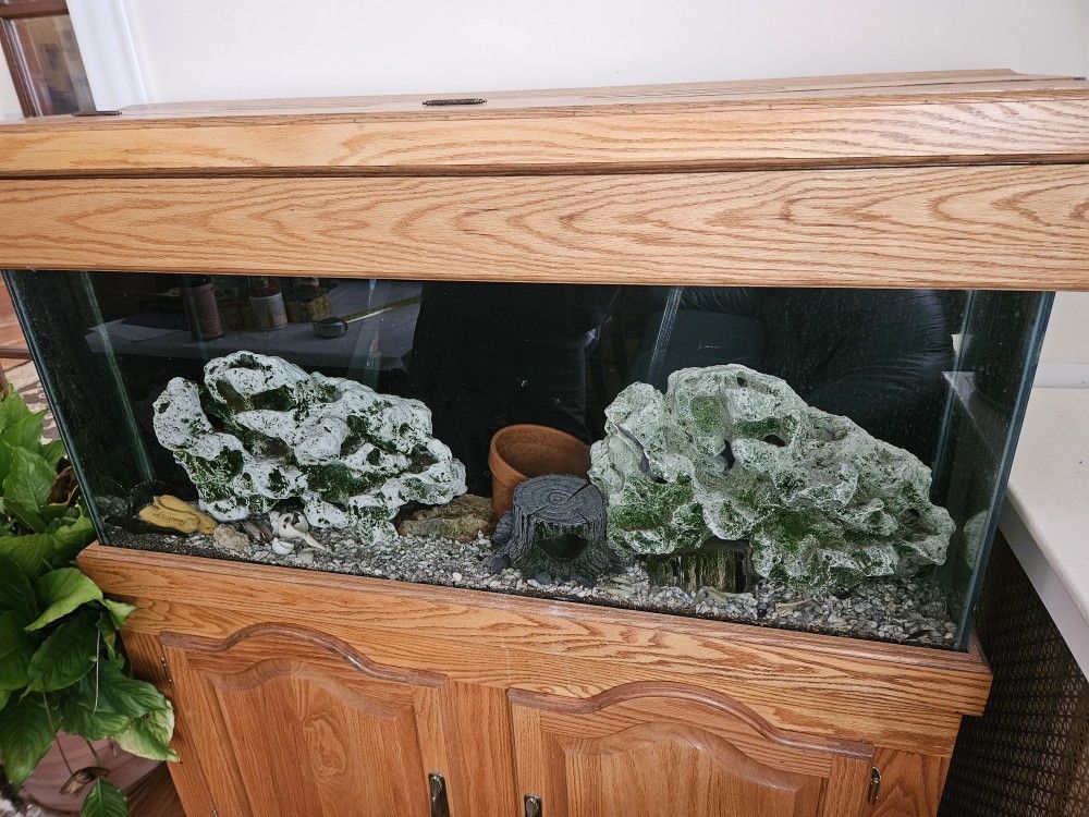 55 Gal Aquarium