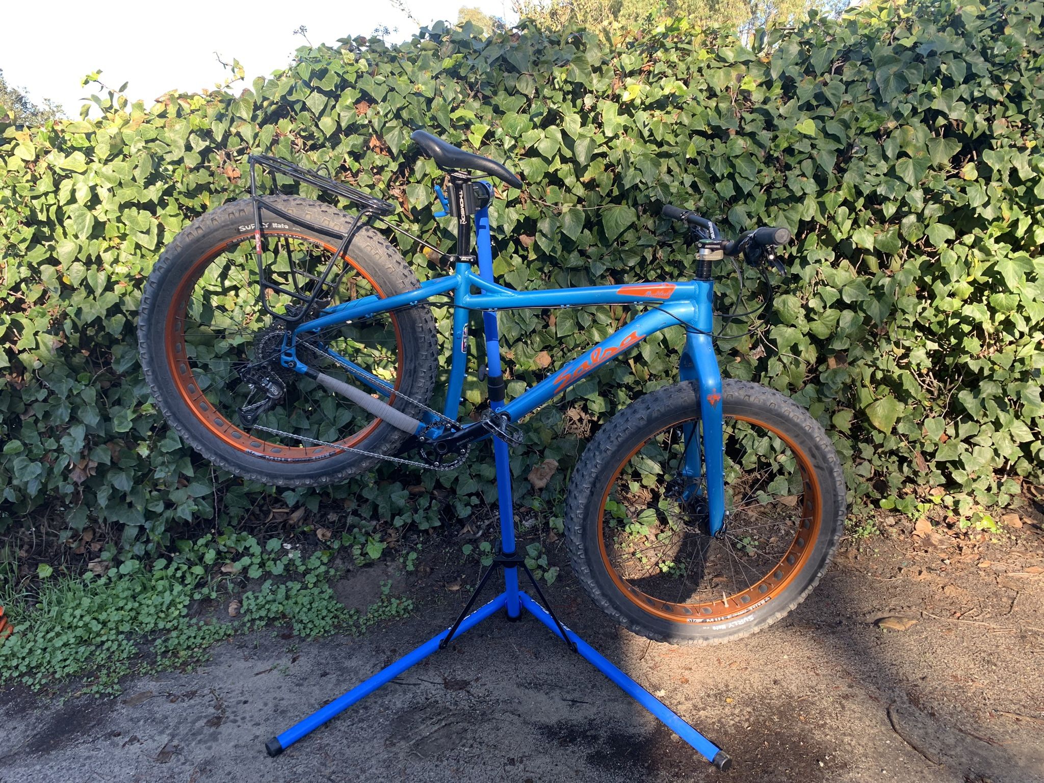 Salsa Muck Luck Fat Tire