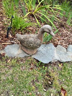 Garden Duck