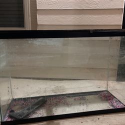 Tall Fish Tank 