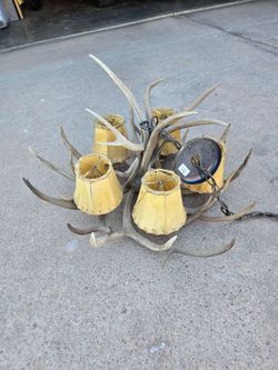 Real Antler Chandelier