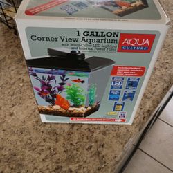 1 Gallon Aquarium 