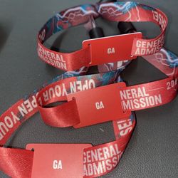 ASTROWORLD  Travis Scott Festival 2 Day Pass 