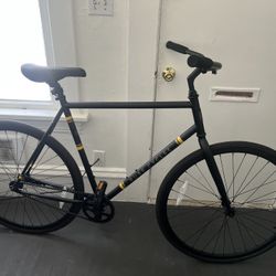 Pure Cycles Single Speed Coaster