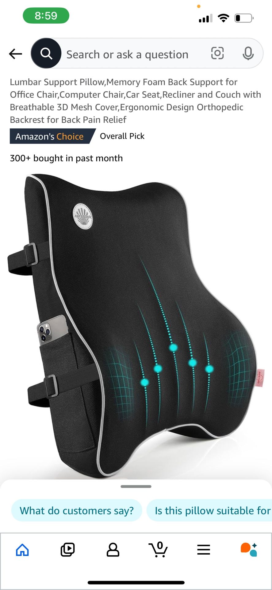 Back Cushion