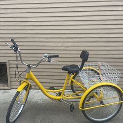 Adult Tricycle 