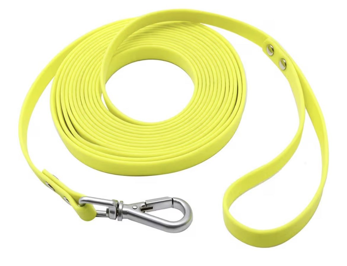 Dog / Cat leash.  5ft