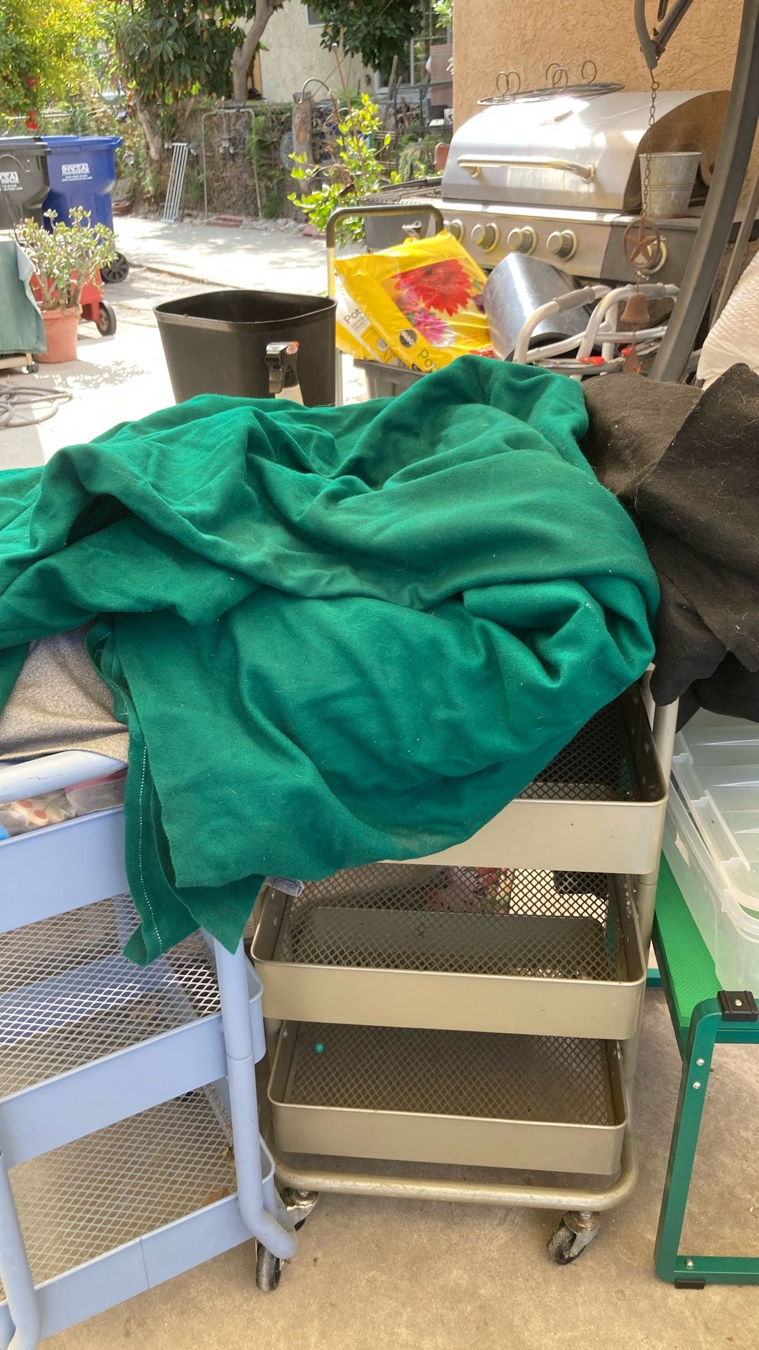 Green And Black Felt