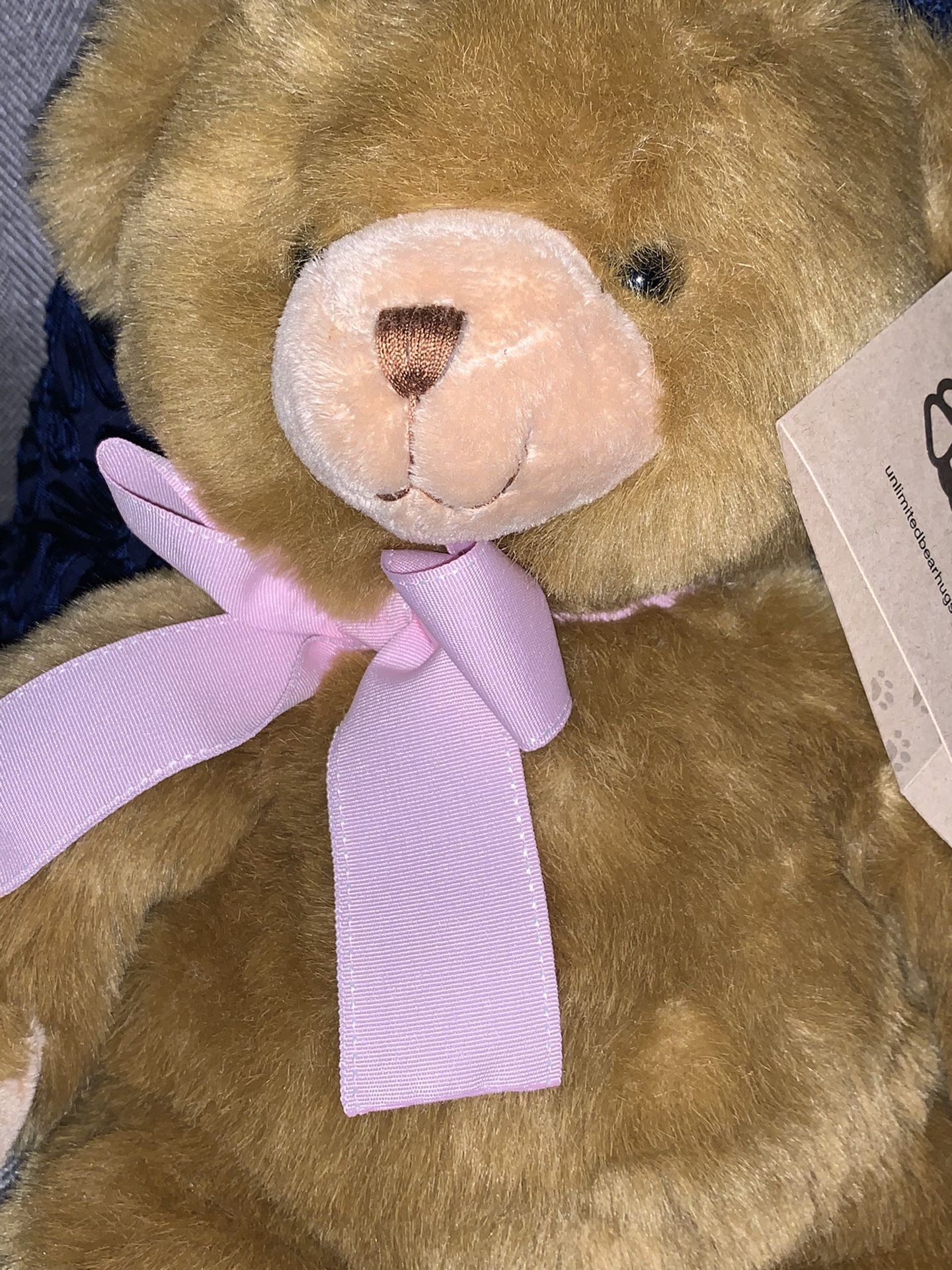 Hugs Brown Unlimited Teddy Bear with Pink Bow