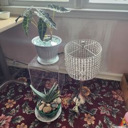 2 -beautiful Indoor Plants & Fancy Night Stand Light ..all For Only $15